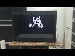 হলোকিউব