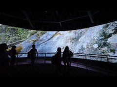 বাঁকা পর্দা