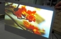 Holographic Rear Projection Film Transparent Hologram Foil 100um Thickness