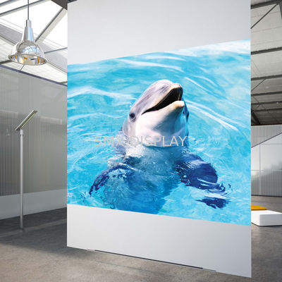 হাই কন্ট্রাস্ট হোয়াইট রিয়ার প্রজেকশন ফিল্ম 3 ডি হলোগ্রাফিক প্রজেকশন ফিল্ম