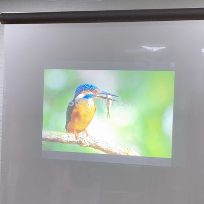 গুণ Holographic Self Adhesive Rear Projection Window Film Hologram 3D Display কারখানা