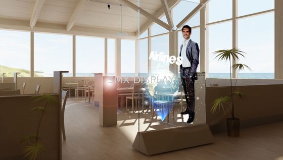 গুণমান স্ব আঠালো 170 ° 100 মিম হলোগ্রাফিক রিয়ার প্রক্ষেপণ ফিল্ম কারখানা