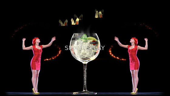গুণমান Digital Holographic Screen 3D Holographic Projection For 3D Hologram Show কারখানা