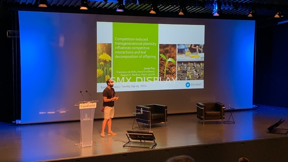 আরএফ রিমোট কন্ট্রোল সহ 350 ইঞ্চি বড় মোটরাইজড প্রজেকশন স্ক্রীন